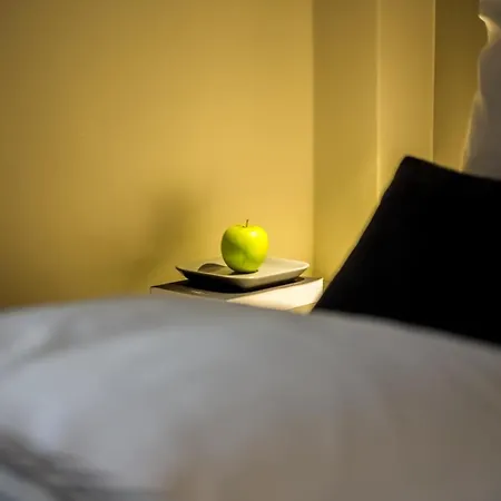 Deluxe Ploech Guest house Rijeka