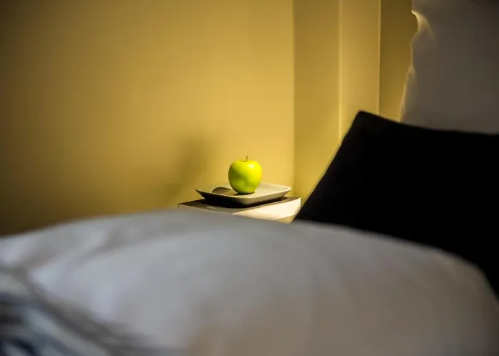 Deluxe Ploech Gæstehus Rijeka